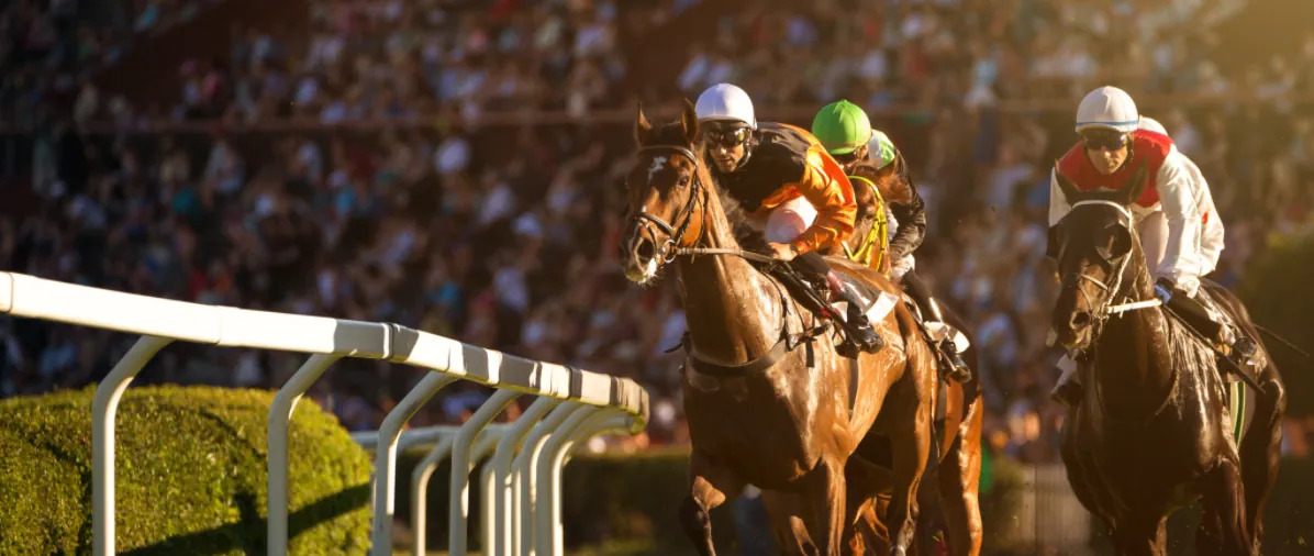 Photo of a horse race, showing three horses and their riders on the track.