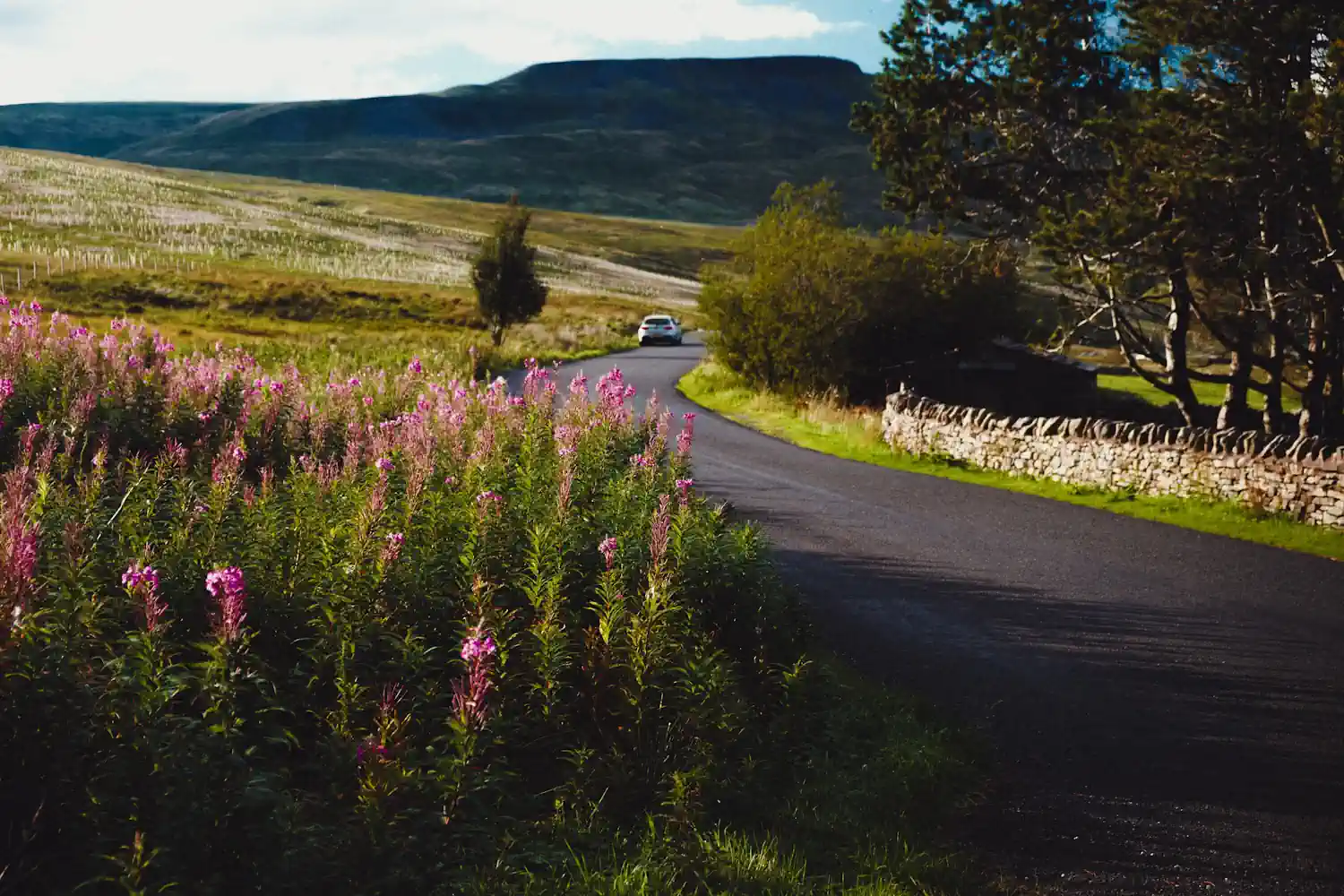 road trip through the uk natural surroundings